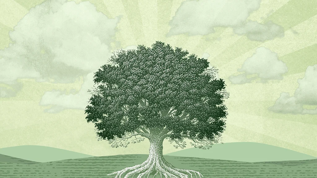 Our Future, Together